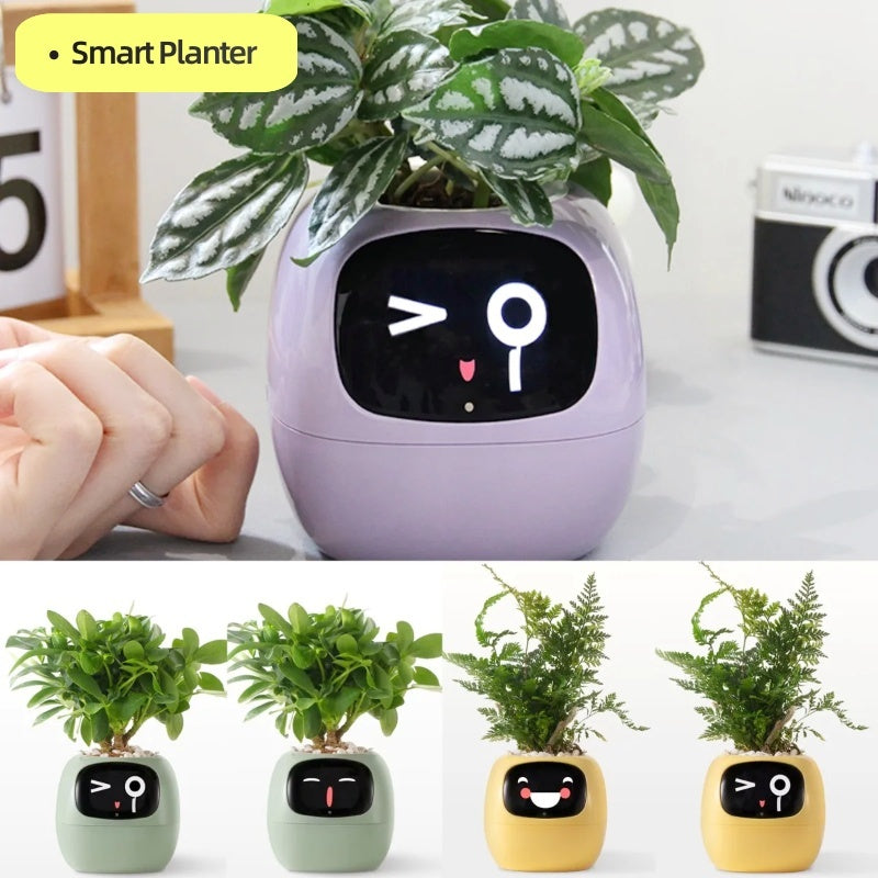 Arborix - Tuya Smart Planter