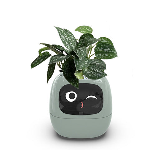 Arborix - Tuya Smart Planter